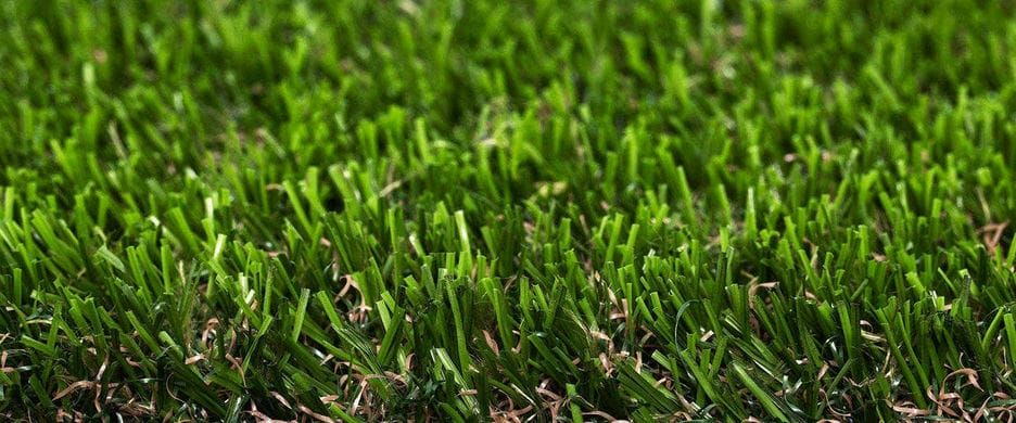 30mm Artificial Grass - Ludus - 2m x 5m