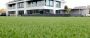 27mm Artificial Grass - Elise - 2m x 5m