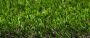 32mm Artificial Grass - Vision - 2m x 25m